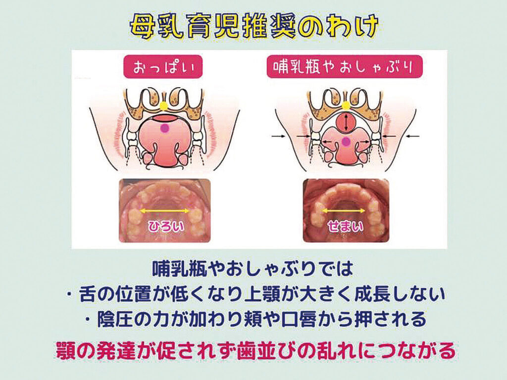 母乳育児推奨のわけ