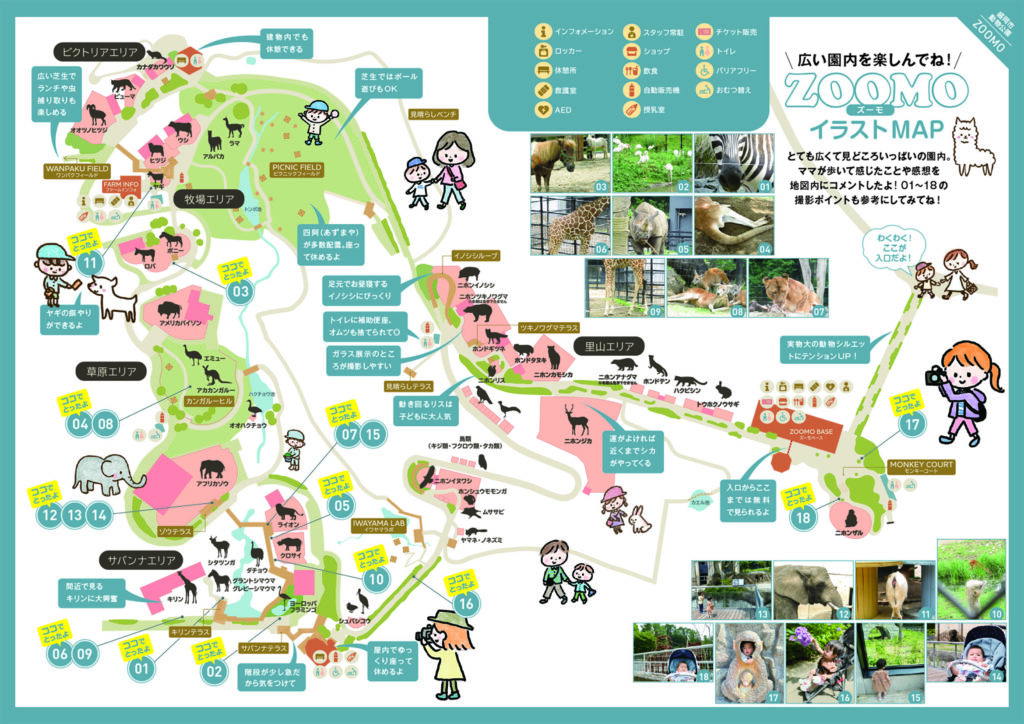 ZOOMO園内MAP